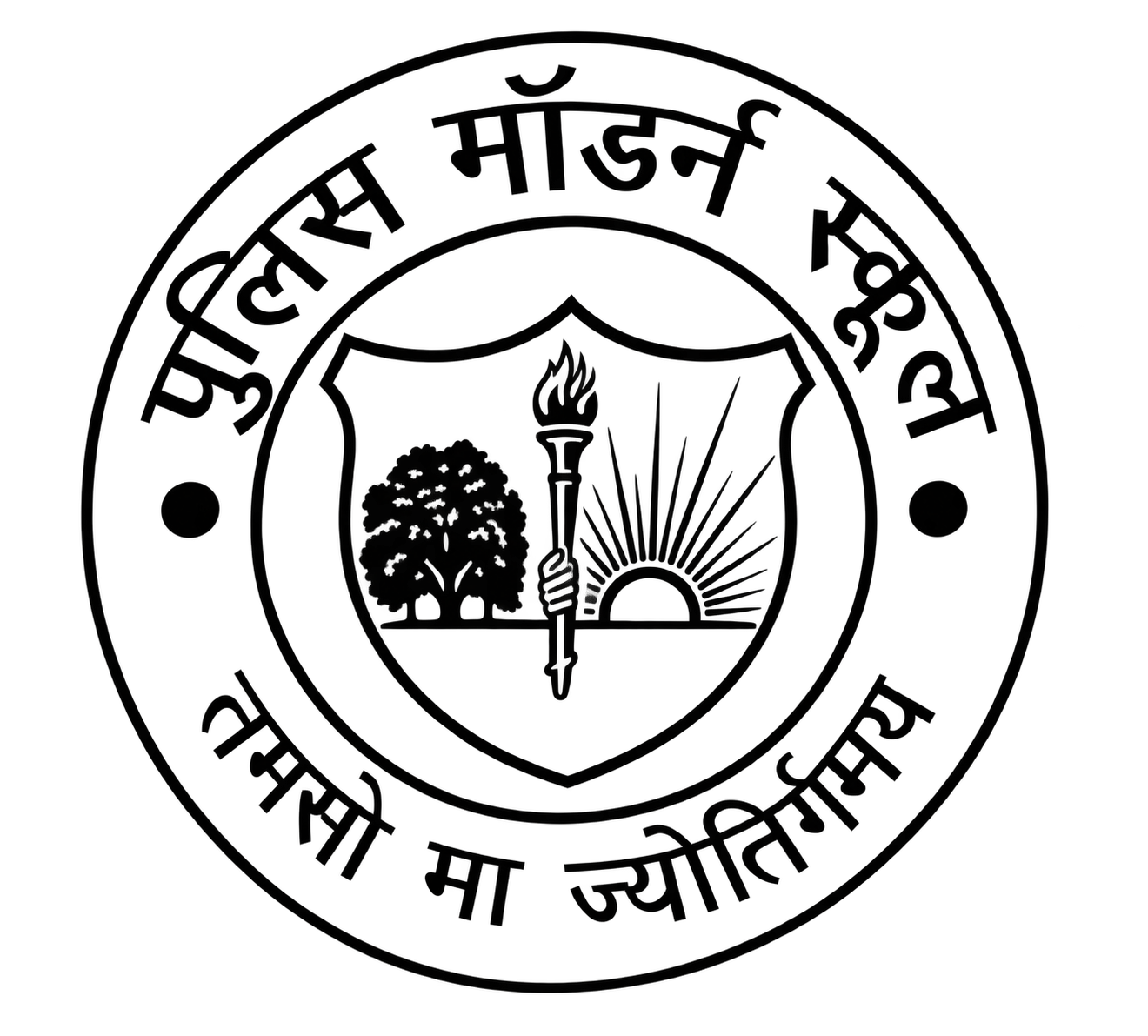 PMS Logo